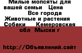 Милые мопсяты для вашей семьи › Цена ­ 20 000 - Все города Животные и растения » Собаки   . Кемеровская обл.,Мыски г.